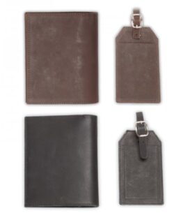 Avion – כיסוי לדרכון ותג למזוודה בעיצוב אישי Ombré