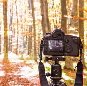 בוק בת מצווה בטבע