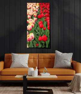 קנבס לסלון בגודל 100X50