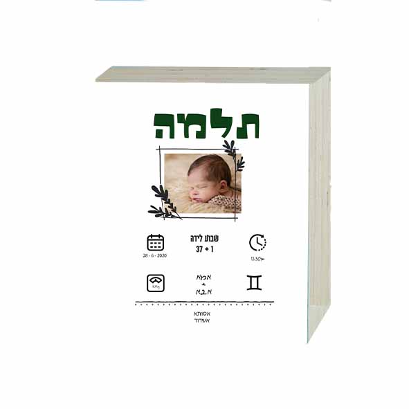 תעודת לידה מעוצבת עם תמונה  | תעודת לידה לתינוקת שנולדה