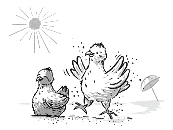 Hand-drawn illustration of two playful chickens outdoors with sun and umbrella, for children's book.