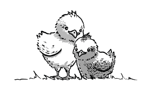 Brightly illustrated chick and duckling representing children's books by 12 Willows Press.