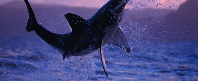 The Fact That These 25 Creatures Used To Roam The Earth Is Mind-Boggling… And Freaky