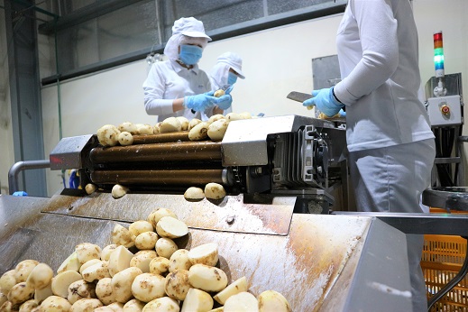 湖池屋ベトナム工場の様子