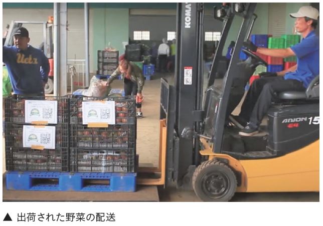 出荷された野菜の配送
