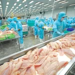 ベトナムの水産加工工場内の様子