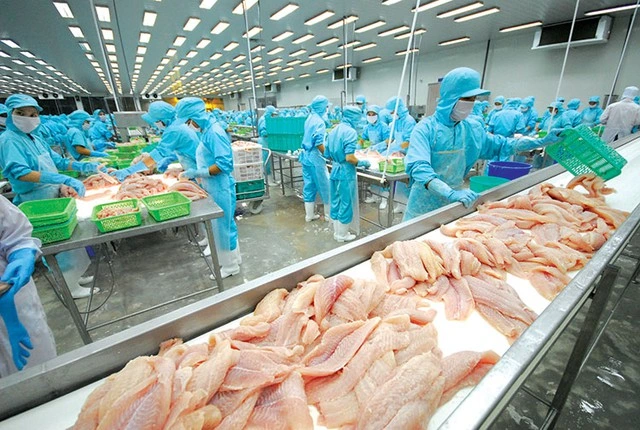 ベトナムの水産加工工場内の様子