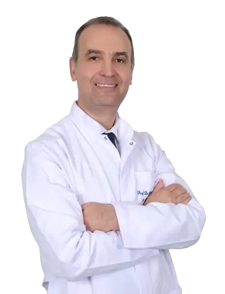 Prof. Dr. Ahmet Kaya Bilge