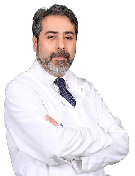 Prof. Dr. Ahmet Koç