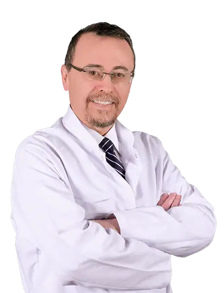 Prof. Dr. Alp Dinçer