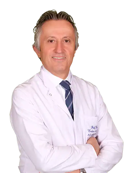 Prof. Dr. Ender Semiz