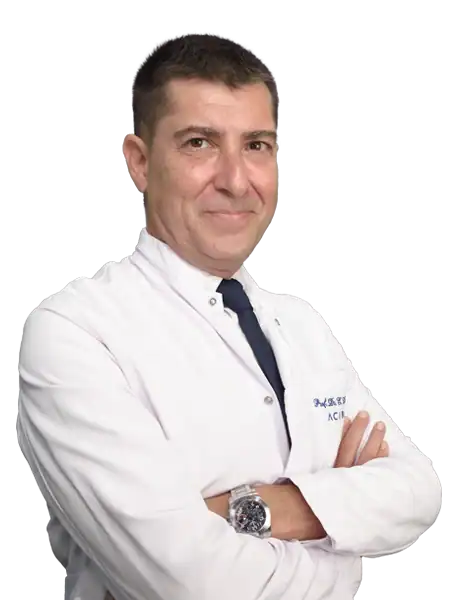 Prof. Dr. E. Levent Elemen