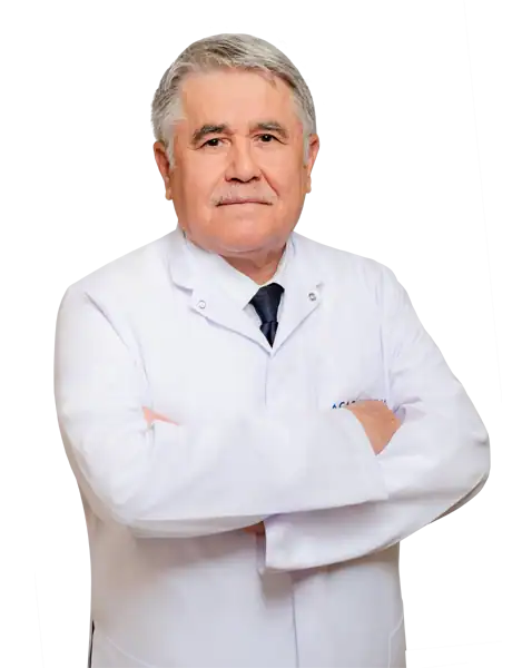 Prof. Dr. İsmet Aydoğdu