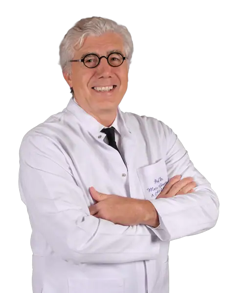 Prof. Dr. Mete Güngör