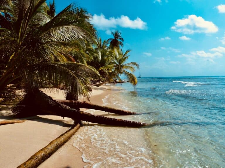 acon-detektive-aruba-karibik