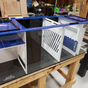 Starting Price: $200.00