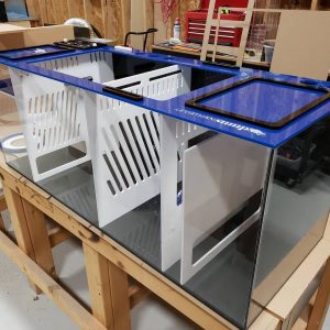 Starting Price: $200.00