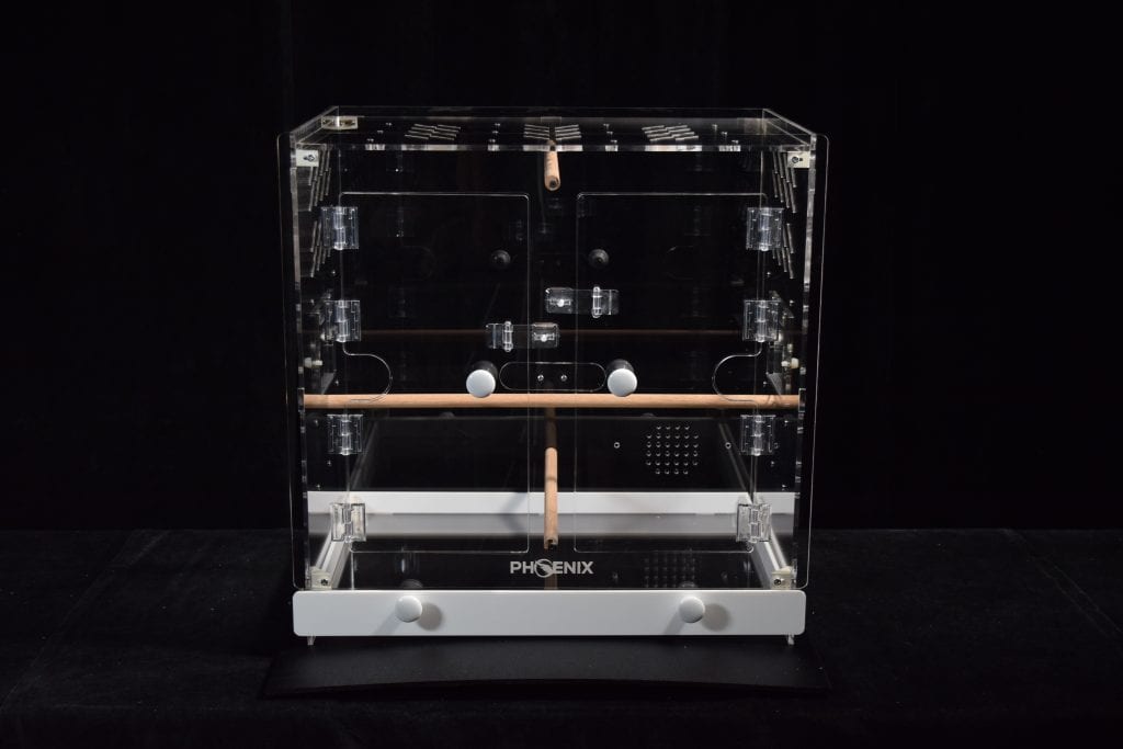 medium-phoenix-AcryliCage