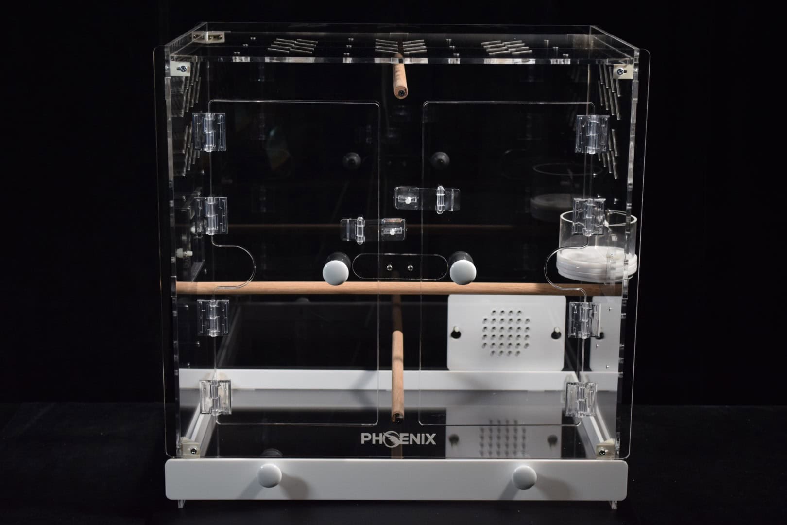 DSC_8666 (Large)
