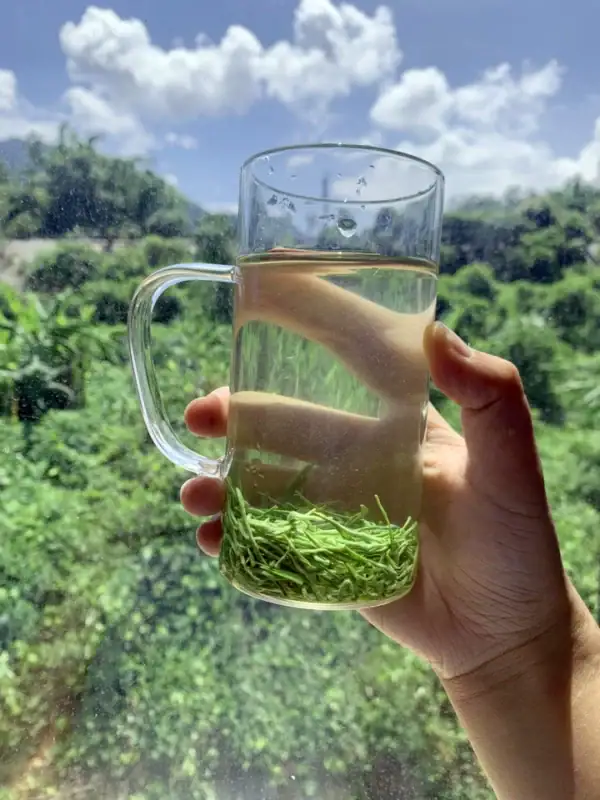 Image #1 from Chloe Griffith