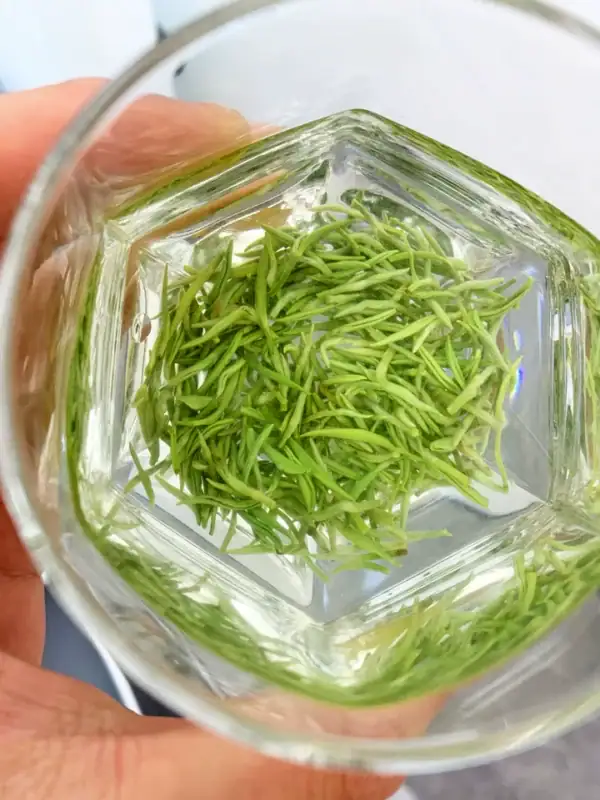 Image #2 from Ava Hawkins