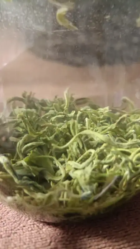 Image #2 from Mark Gardner