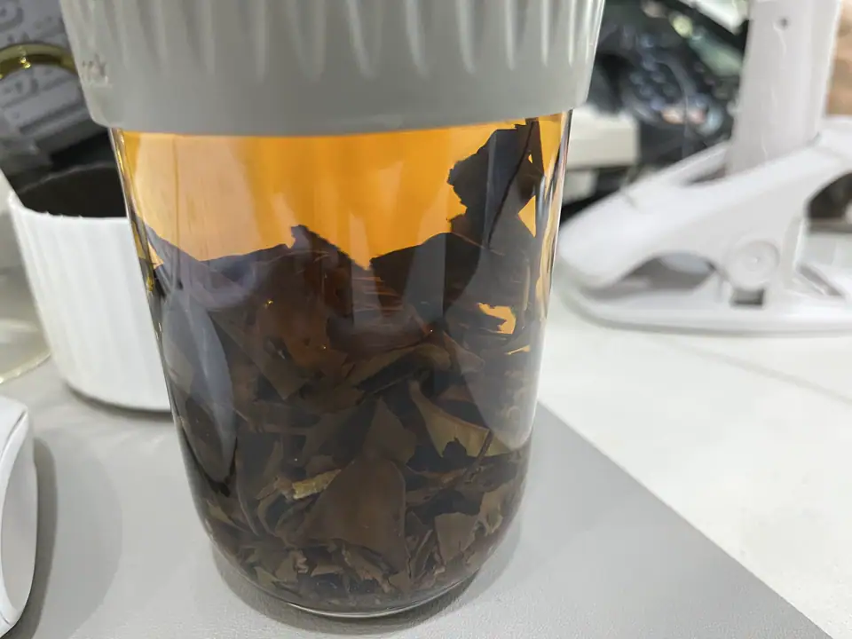 Image #1 from Lavinia Chadwick