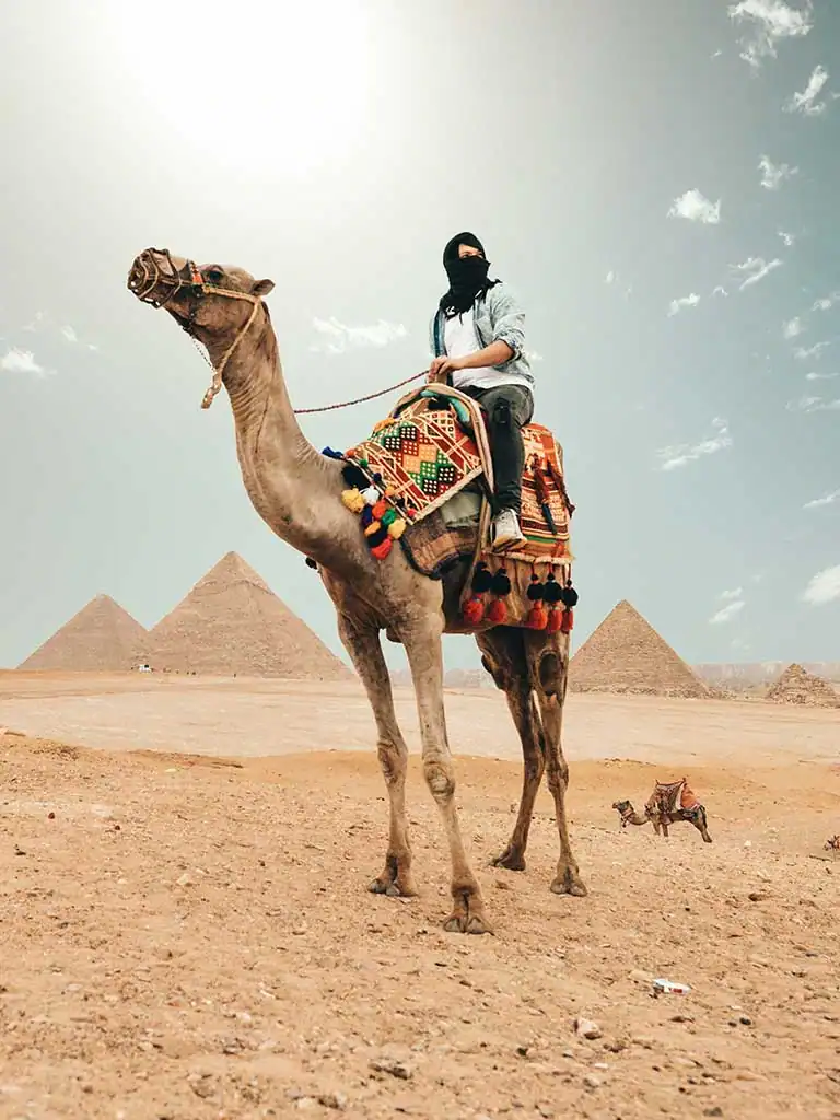 egypt-desert-camel-pyramids Safari Tours Egypt: Experience Desert Safaris, Sinai & White Desert with AdamTravel. Hiking, camping & adventure tours in the land of the pharaohs.
