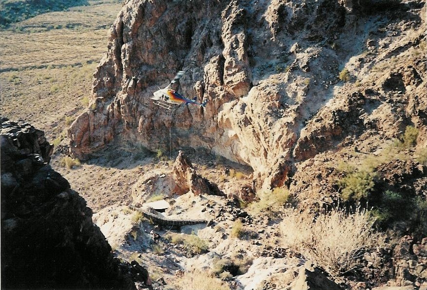 Helicopter rescuing desert bighorn sheep in Arizona canyon.
