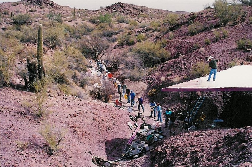 People working together in the Arizona desert on Bighorn sheep conservation efforts.