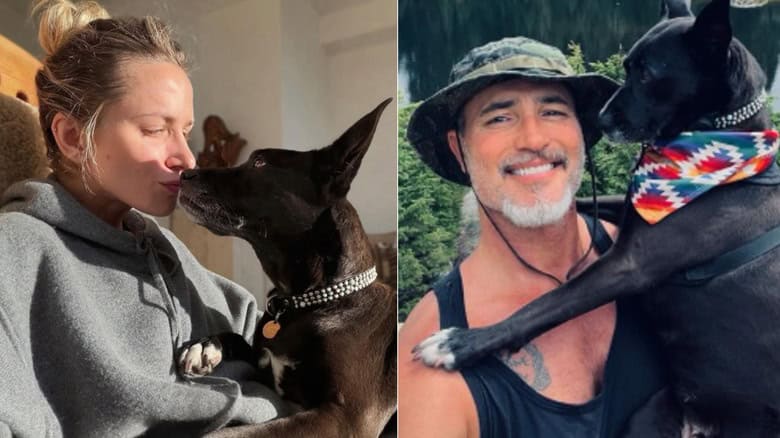 Split image of Shantel VanSanten and Victor Webster with their dog, Nova.