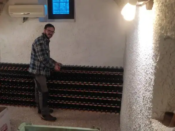 Vigneto in botti per invecchiamento del vino, ambiente interno con illuminazione calda e pareti in p.