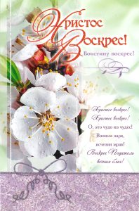 Blumen mit Tau auf einem Ostergruß, kreative Gestaltung für Ostertage, Frühlingsbotschaft, religiöser Ostergruß, frohe Ostern, Advent-Verlag, Osterkarte mit Blüten, festliche Ostergestaltung, christliche Osterbotschaft, saisonale Osterdekoration, Osterfest, Frühlingsblumen, Ostergrüße.