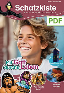 Lächelnder Junge mit Bibel, biblische Geschichten, Kinder, religiöse Bildung, Advent-Verlag, Schatzkiste.
