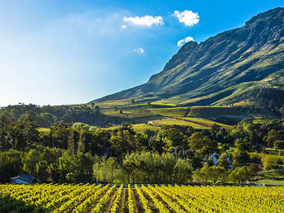 Cape Winelands view