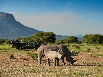 Rhino Big 5