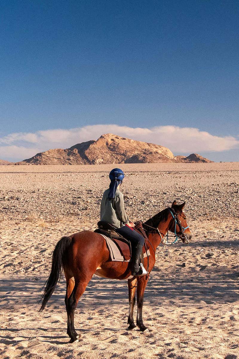 Horse riding in open land