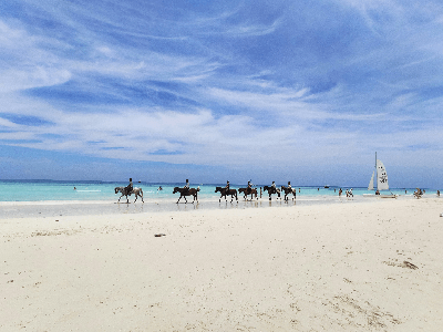 Horse Riding