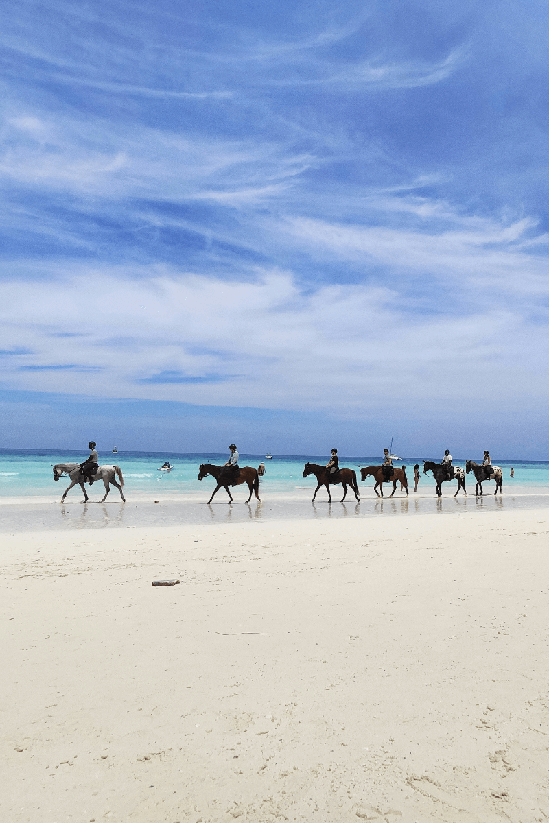 Horse Riding Mozambique