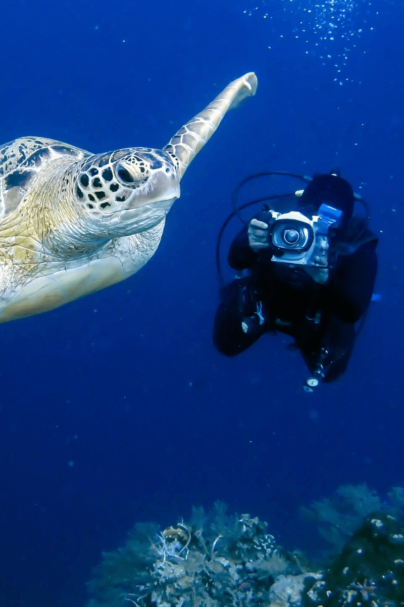 Scuba Diving Mozambique