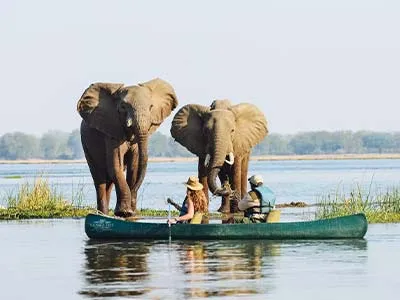 canoe-safari-elephants-river-botswana