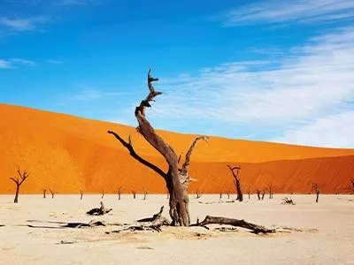 deadvlei-desert-namibia