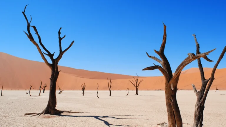 Deadvlei