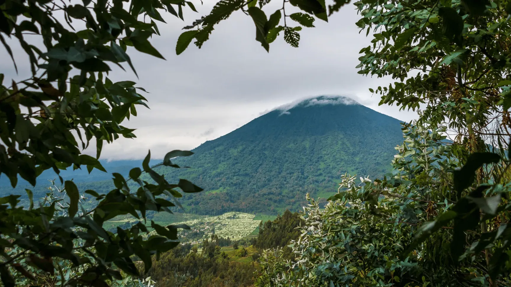 Wilderness Bisate Rwanda
