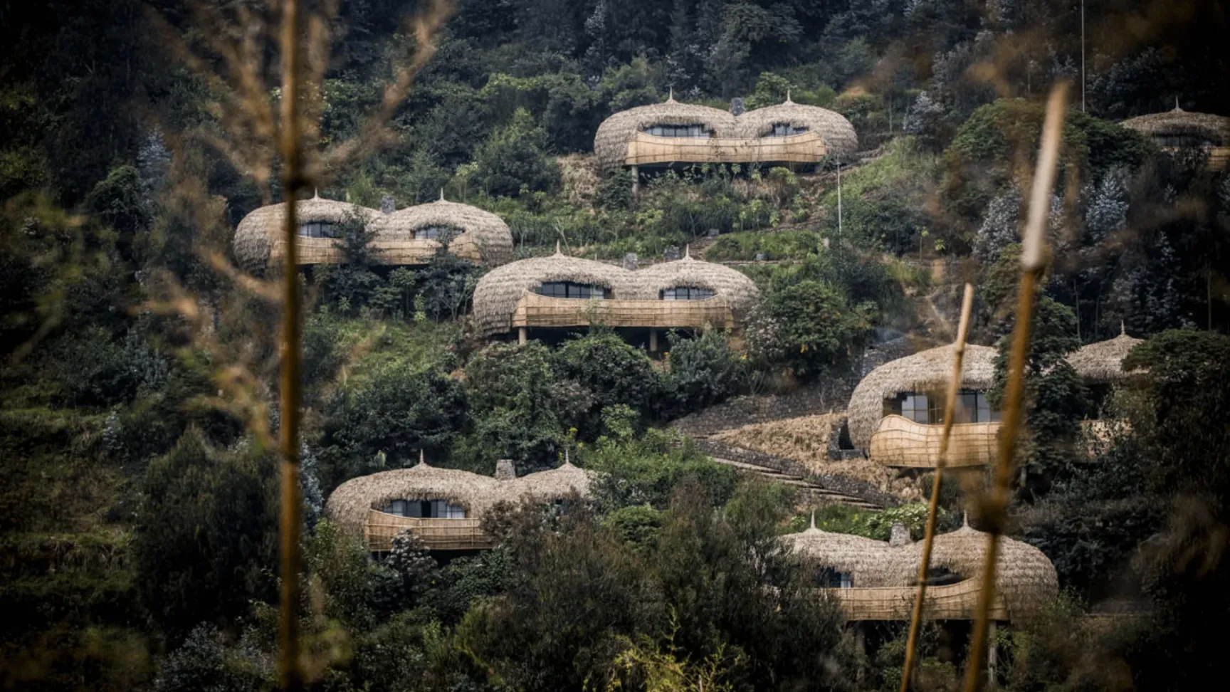 Wilderness Bisate Rwanda