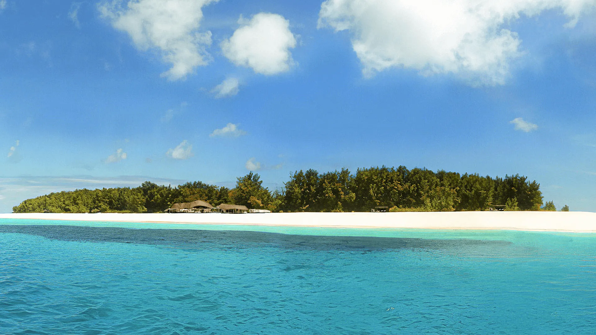 Mnemba Island