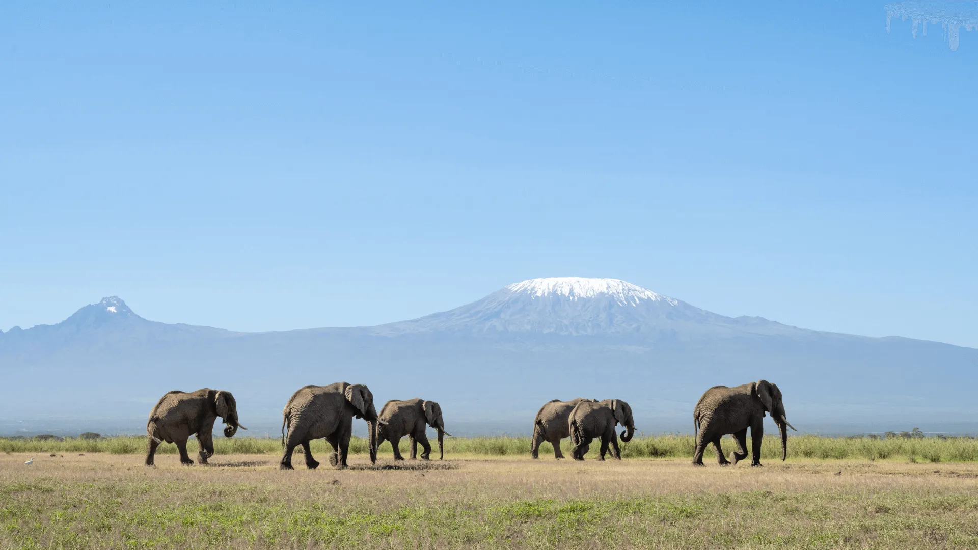 Angama Amboseli