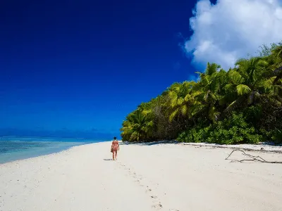 Alphonse Island
