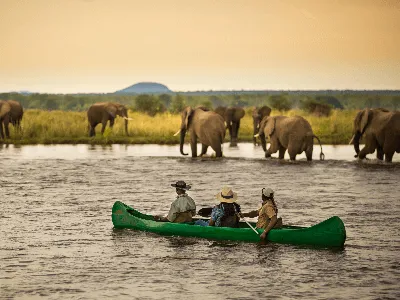 Anabezi Lower Zambezi Zambia