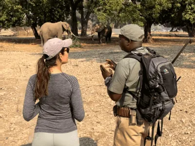 Walking Safari Mana